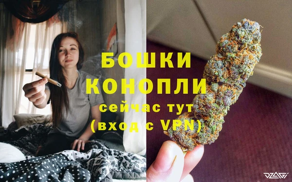 сатива Горняк