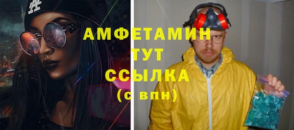 сатива Горняк