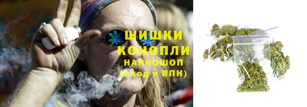 ГАЛЛЮЦИНОГЕННЫЕ ГРИБЫ Горнозаводск