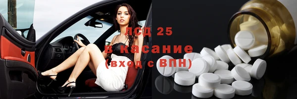 сатива Горняк