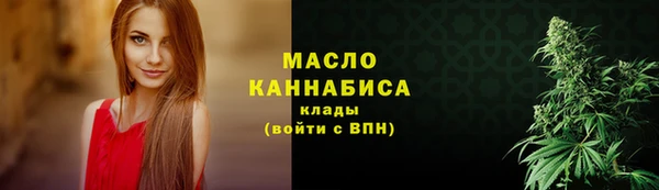 сатива Горняк
