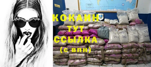 сатива Горняк