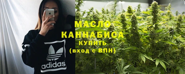 сатива Горняк