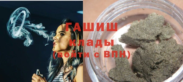 сатива Горняк