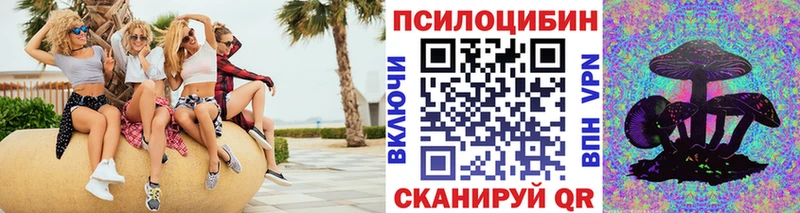 Купить где  Каменка  Псилоцибиновые грибы Psilocybine cubensis 
